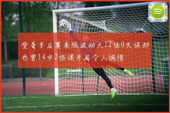 登哥季后赛表现波动大12场0失误却也曾14中2伤退开局令人惋惜