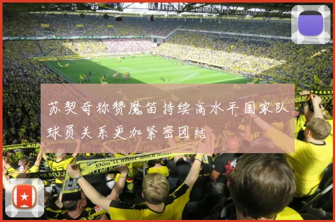 苏契奇称赞魔笛持续高水平国家队球员关系更加紧密团结